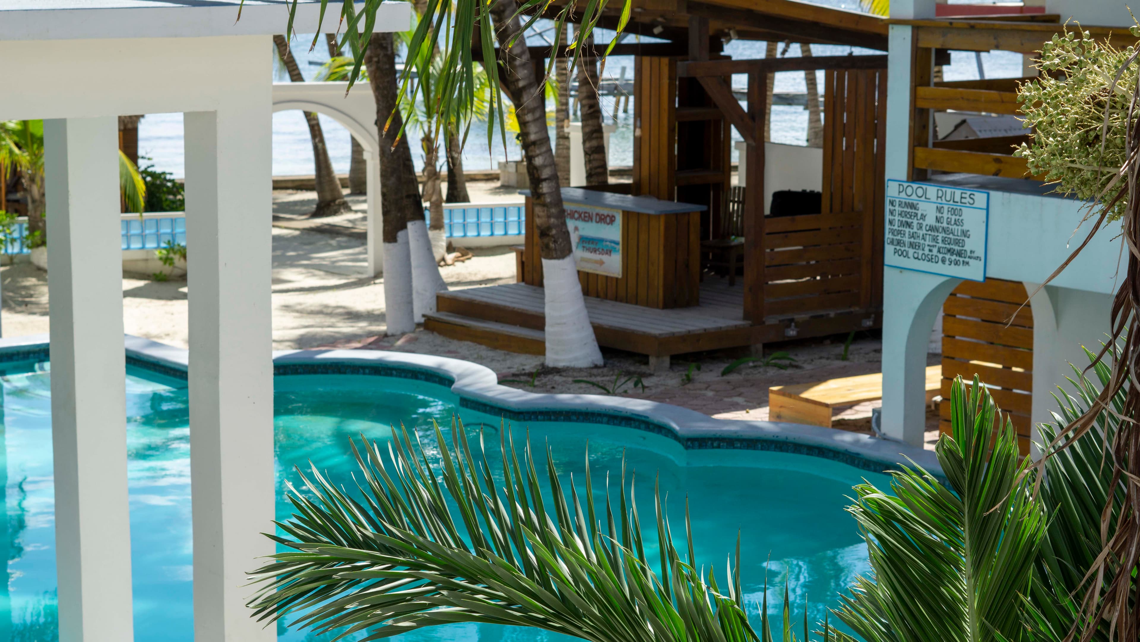 A serene poolside view of a tropical resort, with palm trees, and the ocean visible in the backgrou