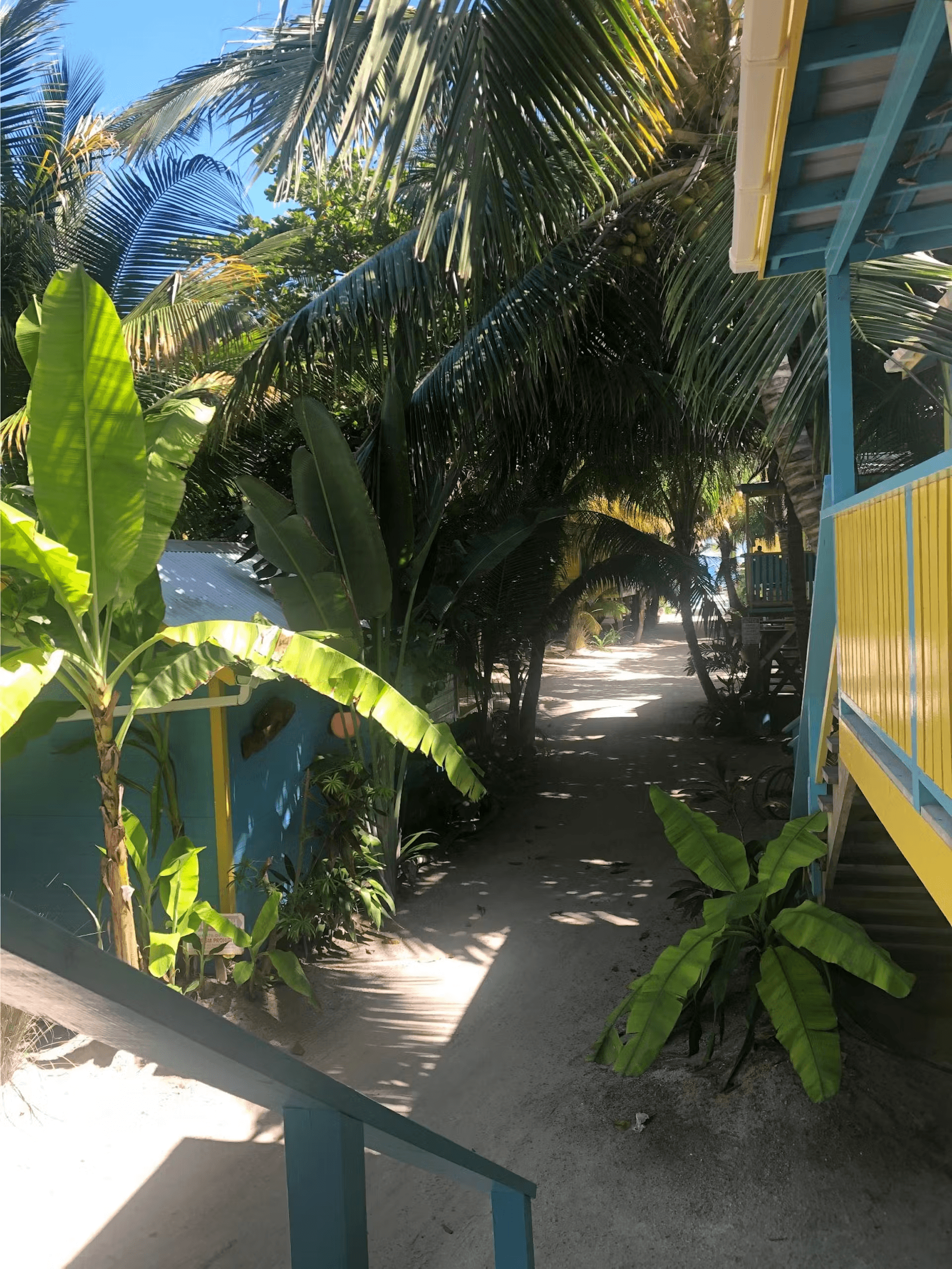 Exterior view from top of outside stairs showing a sandy walkway framed by tropical foliage beside c