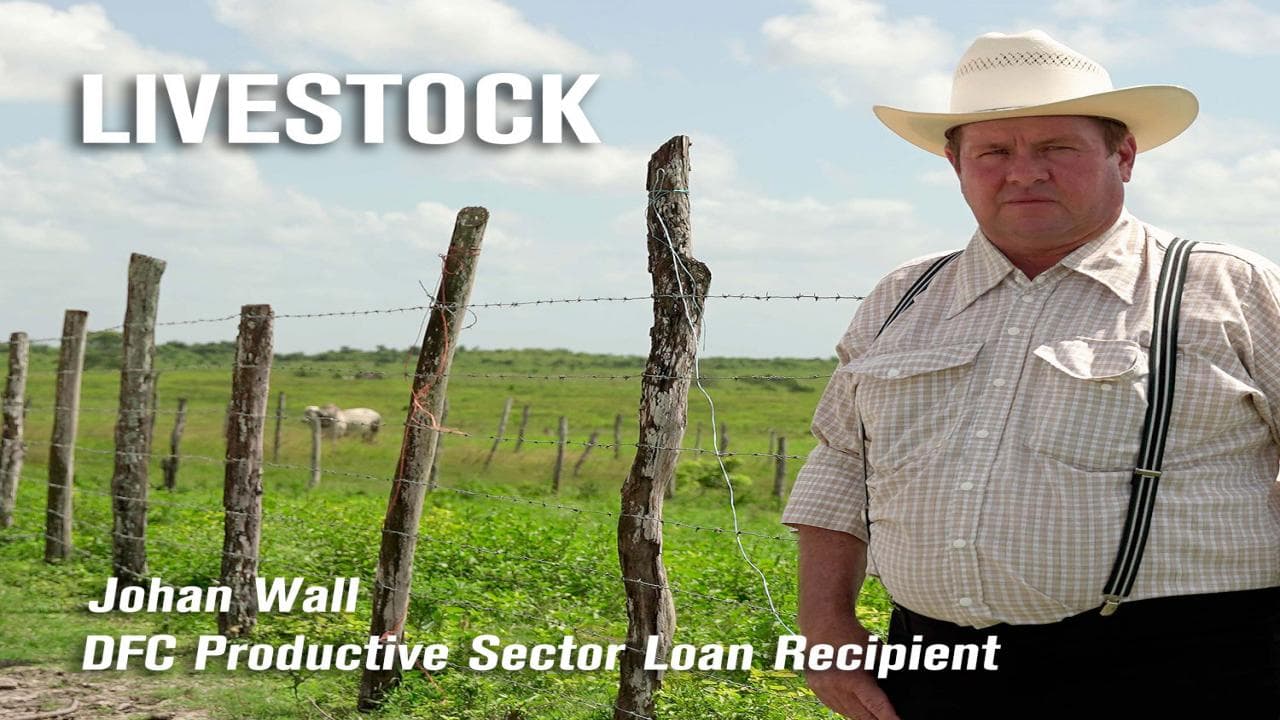 A man in a cowboy hat stands beside a fence on a green field, with livestock grazing in the background.