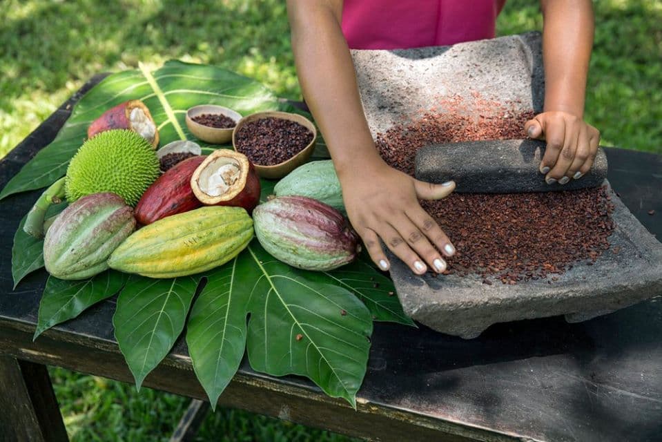A person grinds cocoa beans on a stone surface surrounded by cocoa pods and bowls of cacao.