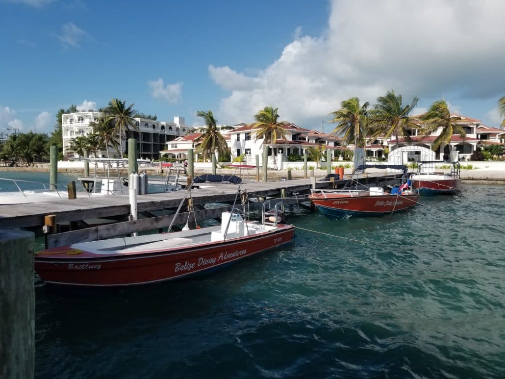 Boats docked at a marina with palm trees and a beachfront hotel in the background.
