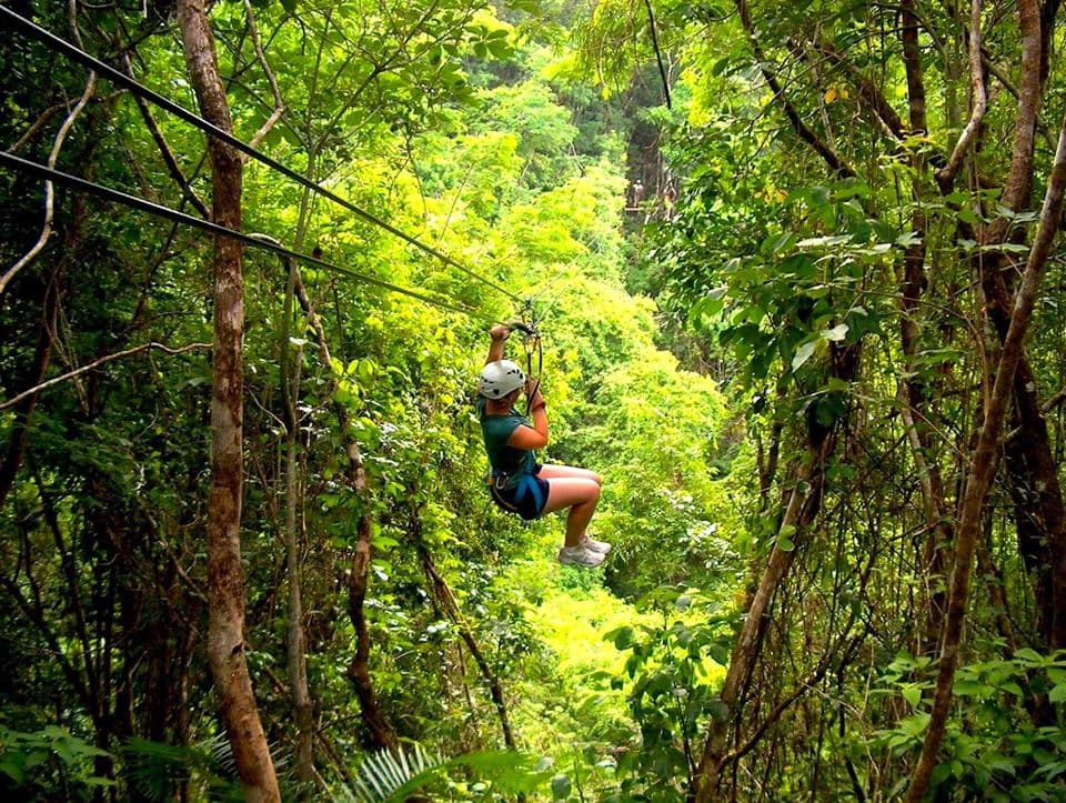 A person zip-lining through a lush green forest.