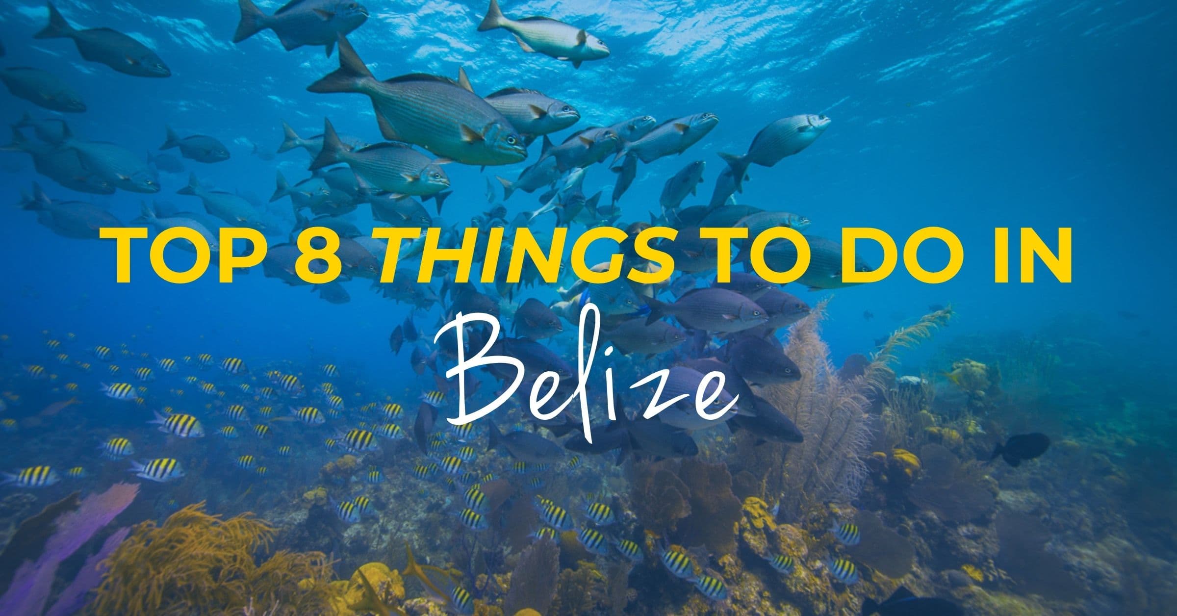 Underwater scene in Belize featuring colorful fish and coral, with text overlay reading "Top 8 Things to Do in Belize." Underwater scene in Belize featuring colorful fish and coral, with text overlay reading "Top 8 Things to Do in Belize."