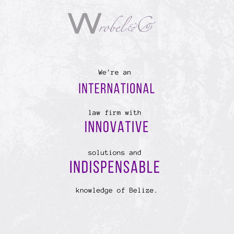 A promotional graphic for Wrobel & Co, an international law firm specializing in innovative solutions and Belizean knowledge.