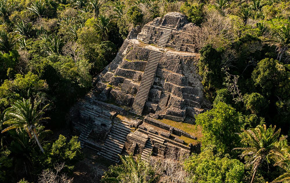 Aerial view of a Mayan temple surrounded by dense tropical foliage.