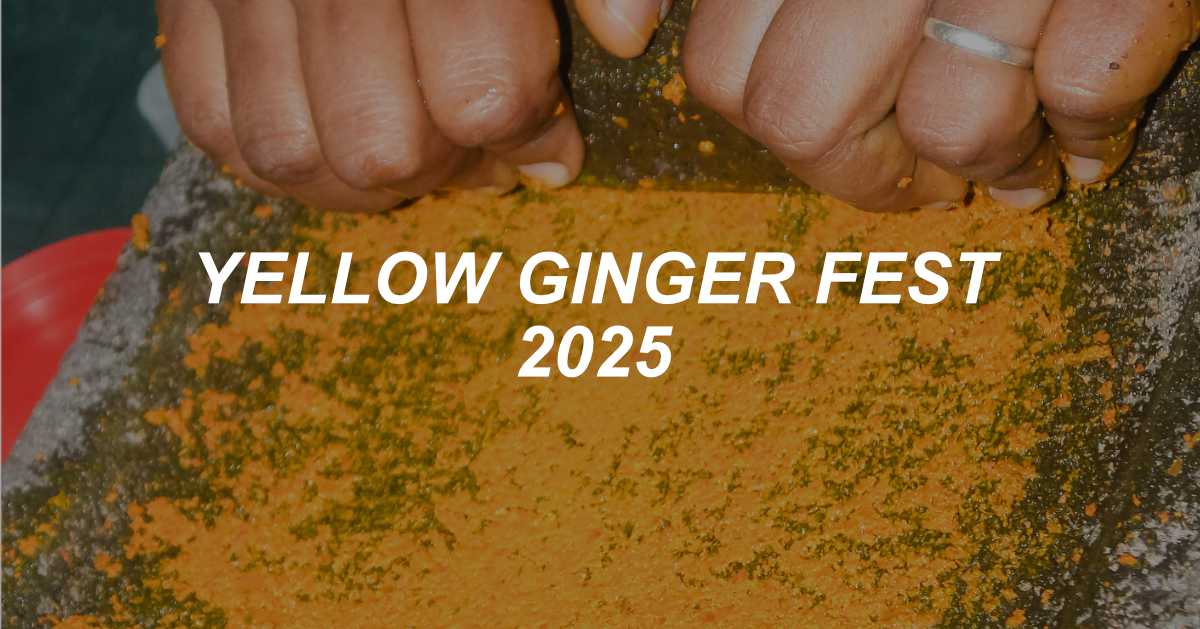 Hands grinding turmeric with the text "YELLOW GINGER FEST 2025" prominently displayed. Hands grinding turmeric with the text "YELLOW GINGER FEST 2025" prominently displayed.