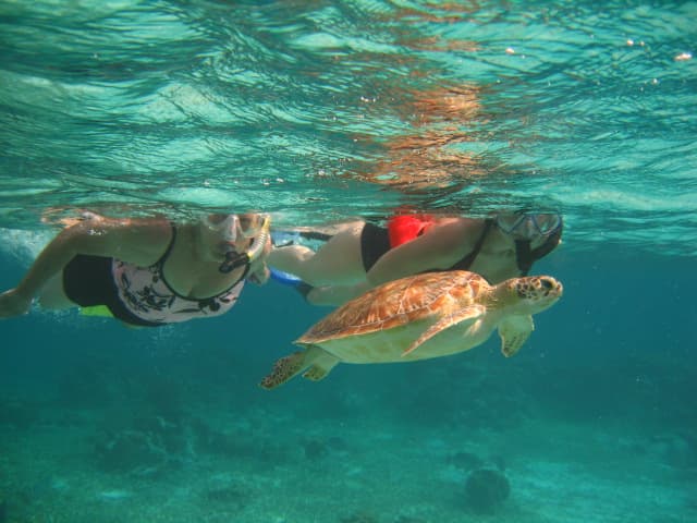 Two people swim underwater alongside a sea turtle.