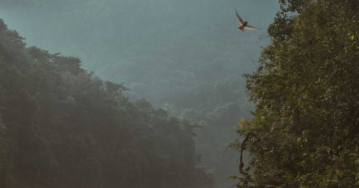 belize hotel association belize in 2026 belize hotel association belize in 2026