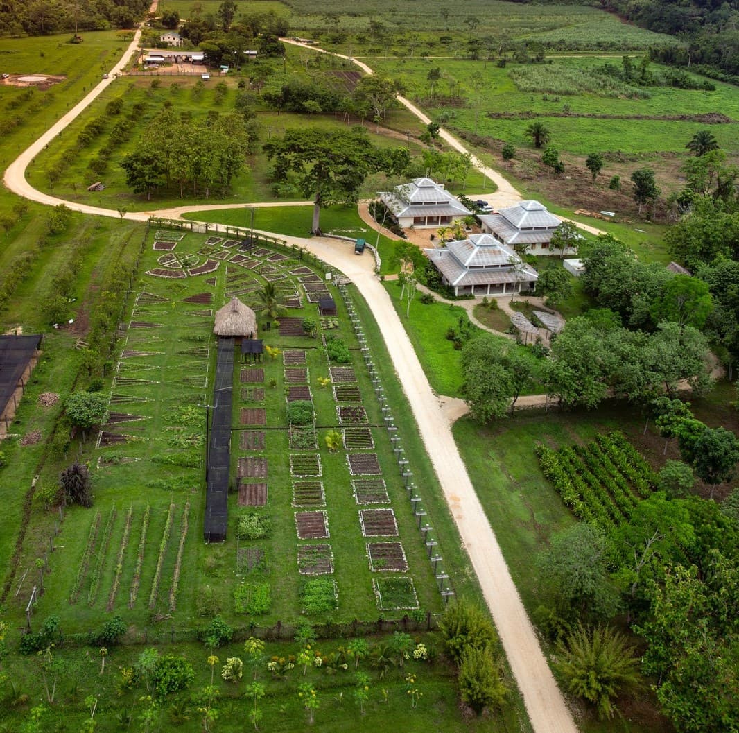 Copal Tree Lodge