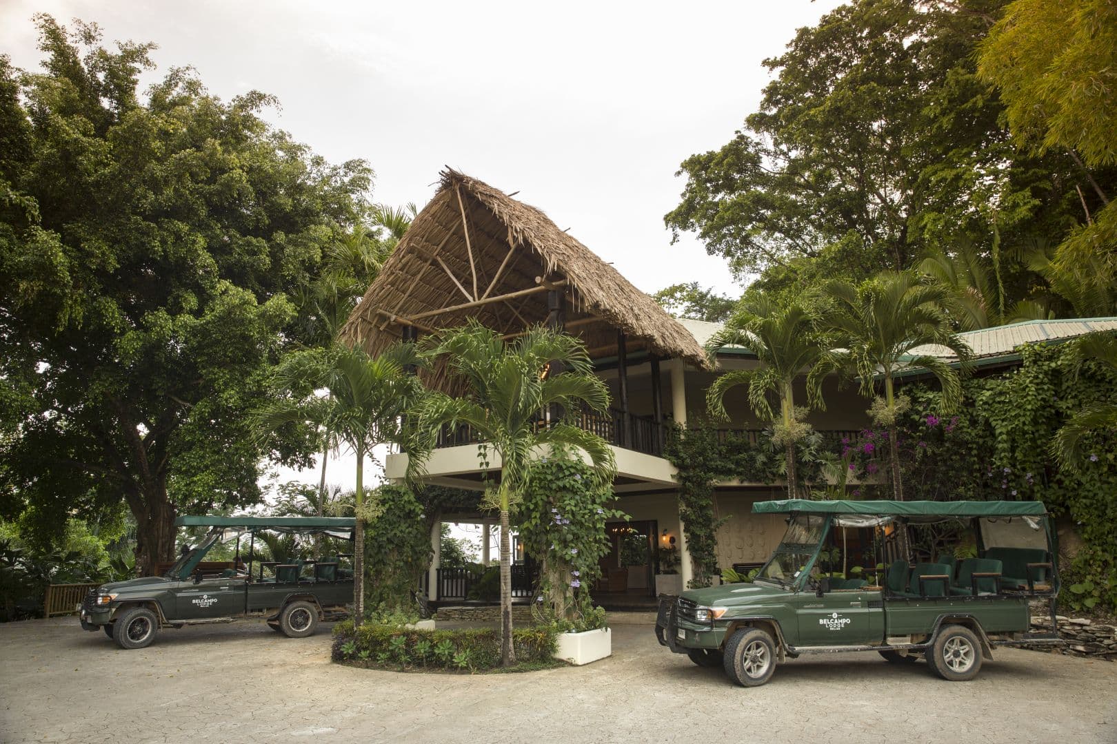 Copal Tree Lodge