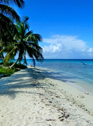 Crystal Paradise Resort