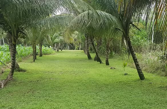 Ghan Eden Belize