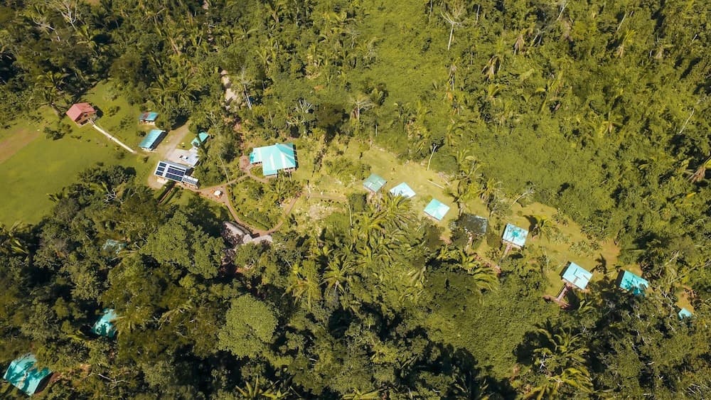 Jaguar Creek Belize