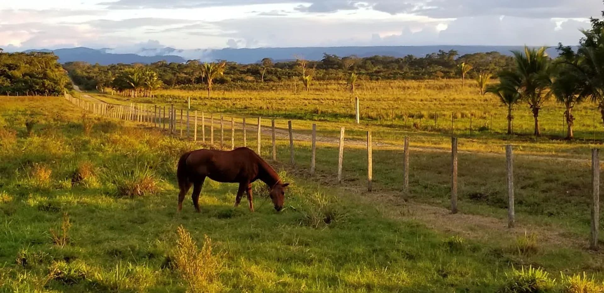 La Familia Farms