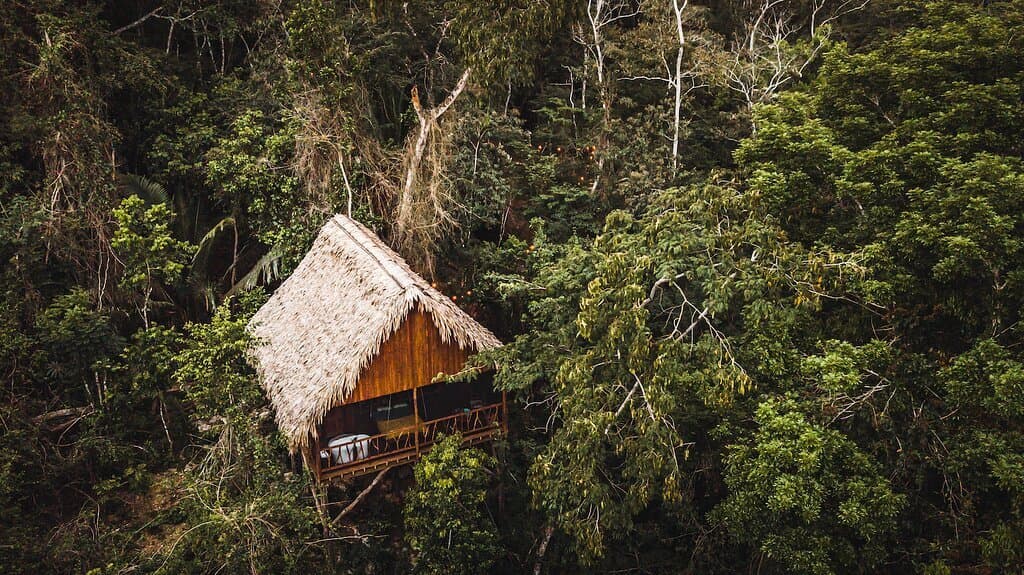 Sweet Songs Jungle Lodge
