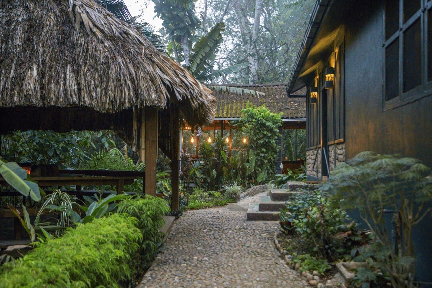 Sweet Songs Jungle Lodge